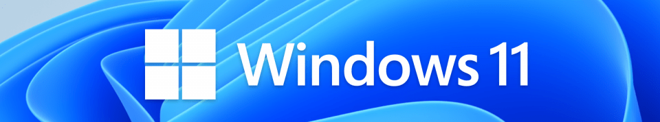 MS Windows 11